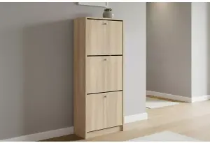 Обувница закрытая 49х28х135 см с тремя отделениями Теви