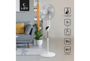 LEX LXFC 8342