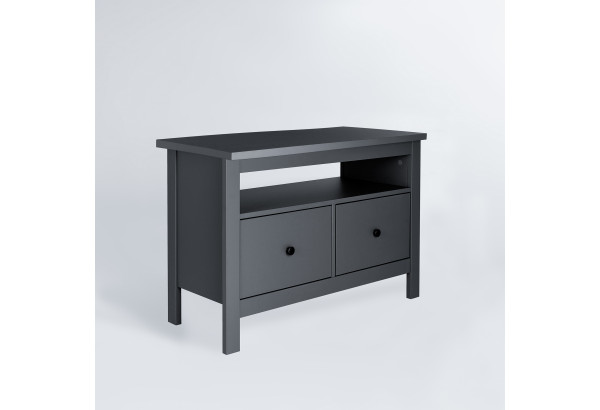 2.08.03.080.4 САГА тумба 2 ящика серая RU - главное фото