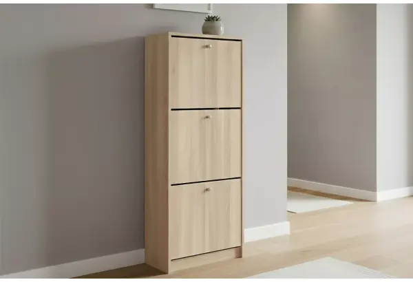 Обувница закрытая 49х28х135 см с тремя отделениями Теви - главное фото