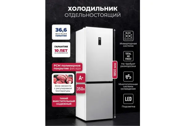 LEX LKB350WHID - главное фото